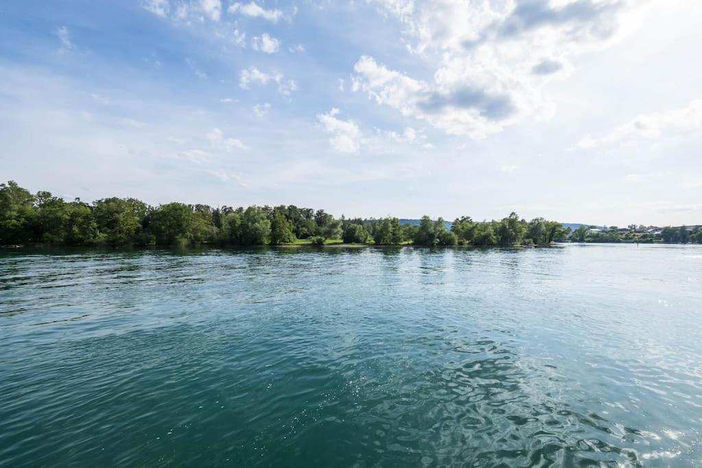 Luxury Apartment On The Rhein Busingen am Hochrhein Exterior foto