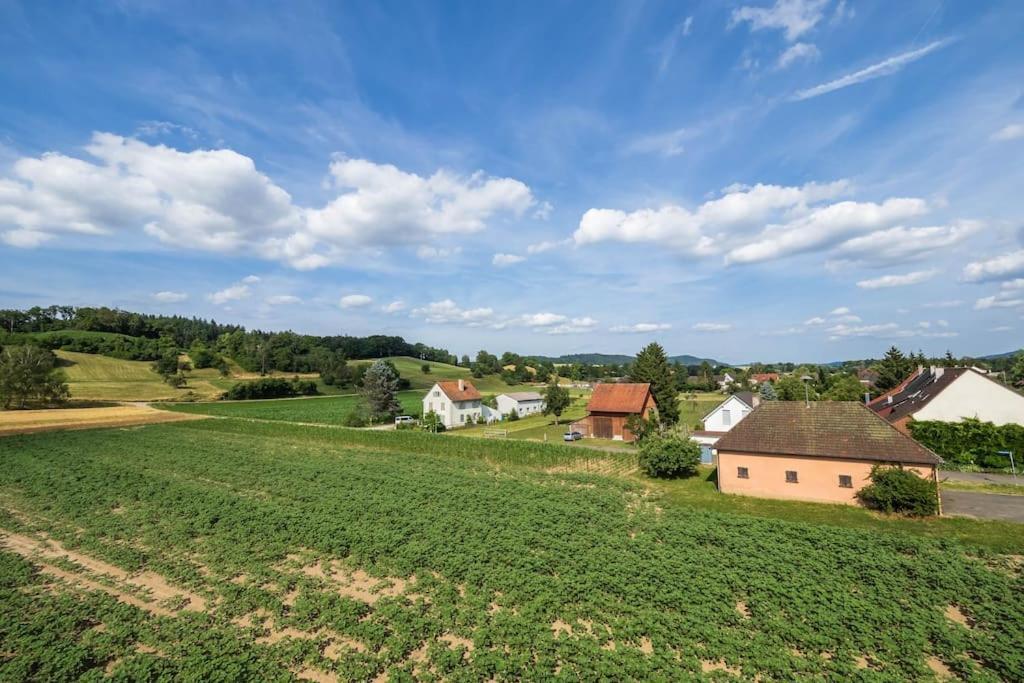 Luxury Apartment On The Rhein Busingen am Hochrhein Exterior foto